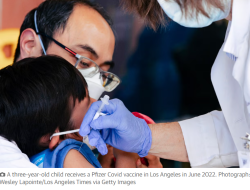 Vaksin Covid-19 Pfizer untuk anak-anak kecil mungkin tidak akan diperbarui oleh FDA