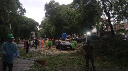 Jakarta Siaga Cuaca Ekstrem, Dua Warga Tewas Akibat Pohon Tumbang