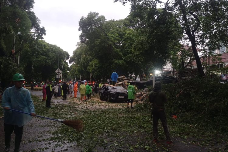 Jakarta Siaga Cuaca Ekstrem, Dua Warga Tewas Akibat Pohon Tumbang