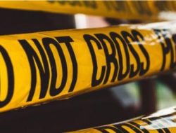 Kronologi Kecelakaan Bus Anggun Krida Masuk Jurang di Bondowoso, 11 Penumpang Terluka