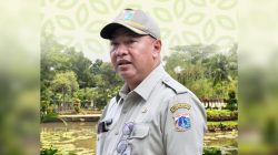 Distamhut DKI Jakarta Imbau Warga Waspada Pohon Tumbang Saat Musim Hujan