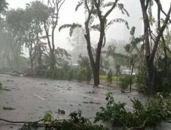 BMKG Peringatkan Angin Kencang di Jabodetabek, Warga Diminta Waspada hingga 17 Desember