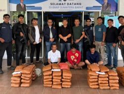 BNNP Sumbar Gagalkan Peredaran Besar Ganja di Jalur Bukittinggi–Medan, Tiga Tersangka Diamankan