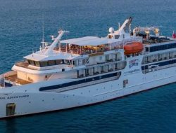 Kapal Pesiar Coral Adventurer Kandas di Papua Nugini, Seluruh Penumpang Dilaporkan Selamat