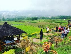 Lirih Kidung Alam Bali: Ketika Air Mata Langit Menagih Janji Harmoni Tergadaikan