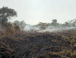 Lahan Seluas 8,5 Hektare Terbakar di Aceh Barat