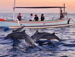 Pantai Lovina Singaraja: Keindahan Tersembunyi di Utara Bali