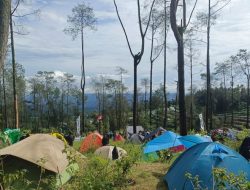 Ratusan Pendaki Tanam 1.000 Bibit Pohon di Merbabu, Pulihkan Hutan Bekas Kebakaran 2023