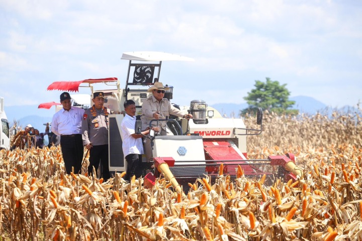 Presiden prabowo memimpin panen raya jagung serentak di kuartal II (foto: Youtube Setpres)