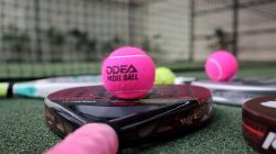 Pemprov DKI Segera Tertibkan Operasional Lapangan Padel di Kawasan Padat Penduduk