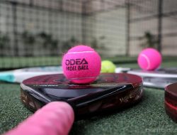 Pemprov DKI Segera Tertibkan Operasional Lapangan Padel di Kawasan Padat Penduduk
