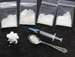 Polisi Gagalkan Pengiriman Narkotika di Pelabuhan Bakauheni, Amankan 34,75 Kg Sabu dan Ribuan Pil Ekstasi