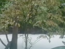 Gudang Kimia Terbakar, Sungai Tercemar dan Distribusi Air di Tangerang Sempat Terhenti