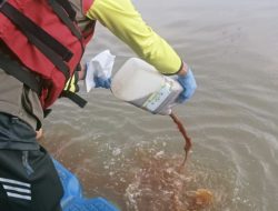 Ecoenzym Dicampurkan ke Sungai Cisadane untuk Atasi Pencemaran Pestisida, Ahli Lingkungan Jelaskan Risiko Dampaknya