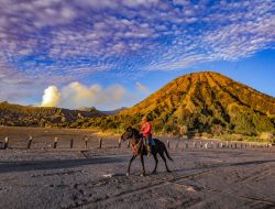 Polisi Bentuk Tim Khusus Usut Hilangnya 7 Koper Wisatawan Thailand di Kawasan Wisata Gunung Bromo