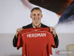 Timnas Indonesia Siap Tampil di FIFA Series 2026 dengan Jadwal Resmi Bulan Depan
