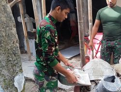 Progres Signifikan TMMD Ke-127, Tiga Rumah Warga Hampir Rampung Direhab