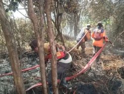 BNPB: Karhutla di Kotawaringin Barat Hanguskan 2,5 Hektare Lahan, Tidak Ada Korban Jiwa