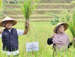 Pemkab Pringsewu Kembangkan Kawasan Padi Sehat di Sukoharjo