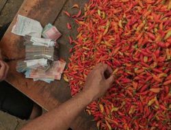 Harga Cabai Melonjak Jelang Idulfitri, Pemerintah Siapkan Langkah Antisipasi