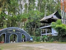 Tahura Djuanda Bandung Jadi Alternatif Wisata Lebaran yang Menggabungkan Keindahan Alam dan Edukasi Sejarah