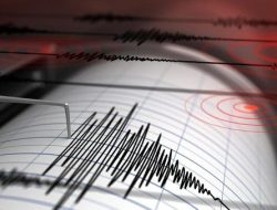 Gempa M 4,4 Guncang Maluku Tenggara Barat, BMKG Imbau Warga Tetap Waspada