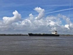 Krisis Global Ancam Produksi Pangan Dunia, PBB Minta Solusi Cepat