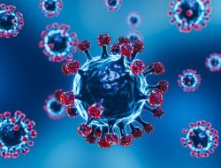 Varian Baru Covid-19 “Cicada” Terdeteksi di 20 Negara, Otoritas Kesehatan Waspada
