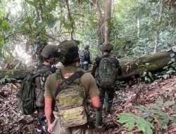 Operasi Gabungan TNI–Polri di Nabire, Satu Anggota KKB Dilumpuhkan