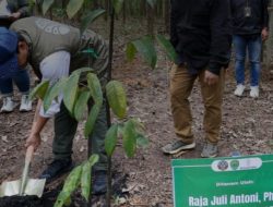 Menhut Raja Juli Antoni Tegaskan Dukungan Forest City, RHL IKN Capai 1.805 Hektare dan Perhutanan Sosial Diperkuat