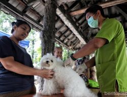 1.255 HPR di Jaksel Divaksin Rabies