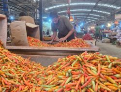 Stok Cukup, Harga Stabil, Lebaran 2026/1447 H Dilalui dengan Kemenangan untuk Semua