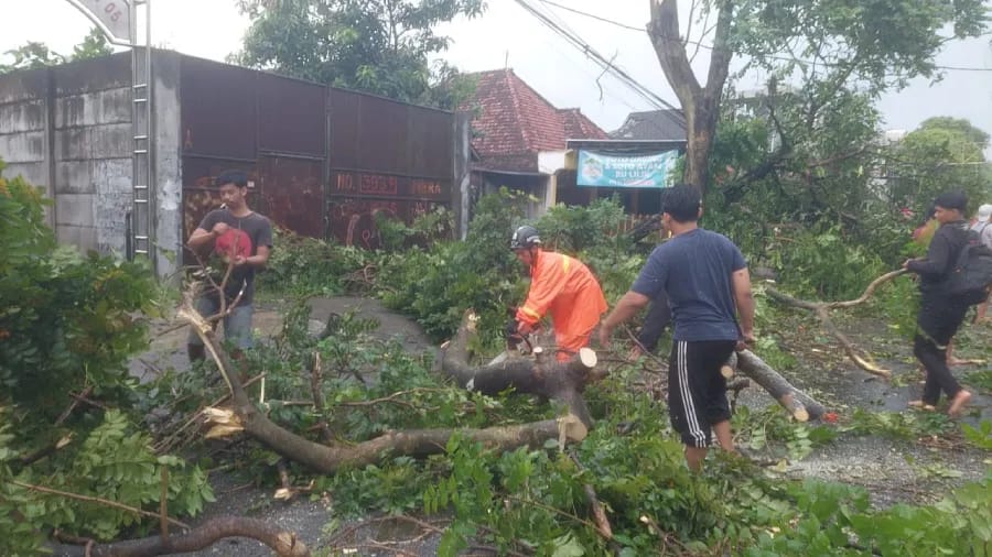Hujan Deras dan Angin Kencang Terjang Kediri, Pohon Tumbang dan 14 Rumah Rusak