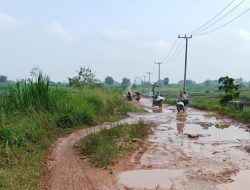 Viral Jalan Rusak Parah di Lampung, Warga Keluhkan Akses 2 Km Bak Offroad
