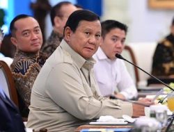 Penerimaan Pajak Naik Signifikan, Prabowo Singgung Kepatuhan Masyarakat Meningkat