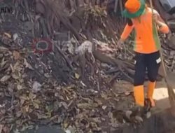 Viral Petugas UPS Buang Sampah ke Kali, DLH DKI Beri Sanksi dan Klarifikasi
