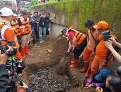 763 Kg Ikan Sapu-Sapu Ditangkap di Jaktim, Langsung Dimusnahkan dengan Cara Dikubur