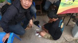 Warga Matraman Pergoki Pria Bawa Sabu Saat Aksi Basmi Ikan Sapu-Sapu