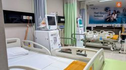 Peningkatan Pembiayaan Gagal Ginjal di Indonesia Meningkat Tajam, Pemerintah Luncurkan Kebijakan Nutri-Level