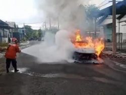 Mobil Listrik Terbakar di Gresik, Pemilik Selamat Usai Berjuang Padamkan Api