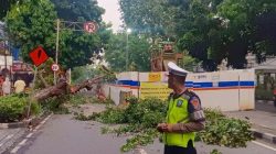 Pohon Tumbang di Jalan Wahid Hasyim, Rute TransJakarta Arah Tanah Abang Dialihkan