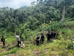 Polisi Kejar Empat Buron Kasus Ladang Ganja 20 Hektare di Empat Lawang