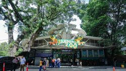 Pemprov Jabar Buka Peluang Kelola Kebun Binatang Bandung