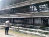 Kandang Ayam di Ciseeng Bogor Terbakar, 150 Ribu Ekor Ayam Hangus