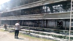 Kandang Ayam di Ciseeng Bogor Terbakar, 150 Ribu Ekor Ayam Hangus