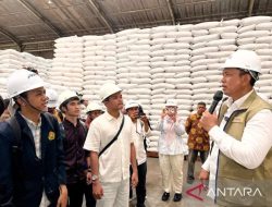Bulog Serap 2,4 Juta Ton Gabah Petani, Capai 60 Persen Target Nasional 2026