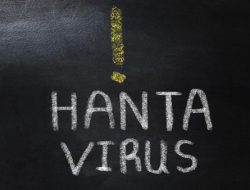 Satu Kasus Hantavirus Terdeteksi di Jawa Timur, Pasien Sudah Sembuh