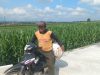 Mbah Sukardi Rasakan Manfaat Jalan Baru TMMD untuk Aktivitas Bertani