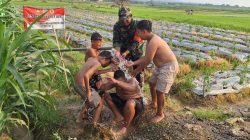 Keceriaan Anak-Anak Desa Godo Nikmati Air Sumur Bor Program TMMD