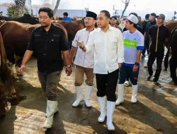 Pemkot Surabaya Salurkan 80 Hewan Kurban untuk Warga Kurang Mampu